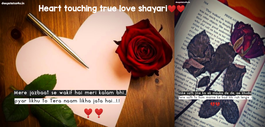 Heart touching true love shayari❤️❤️