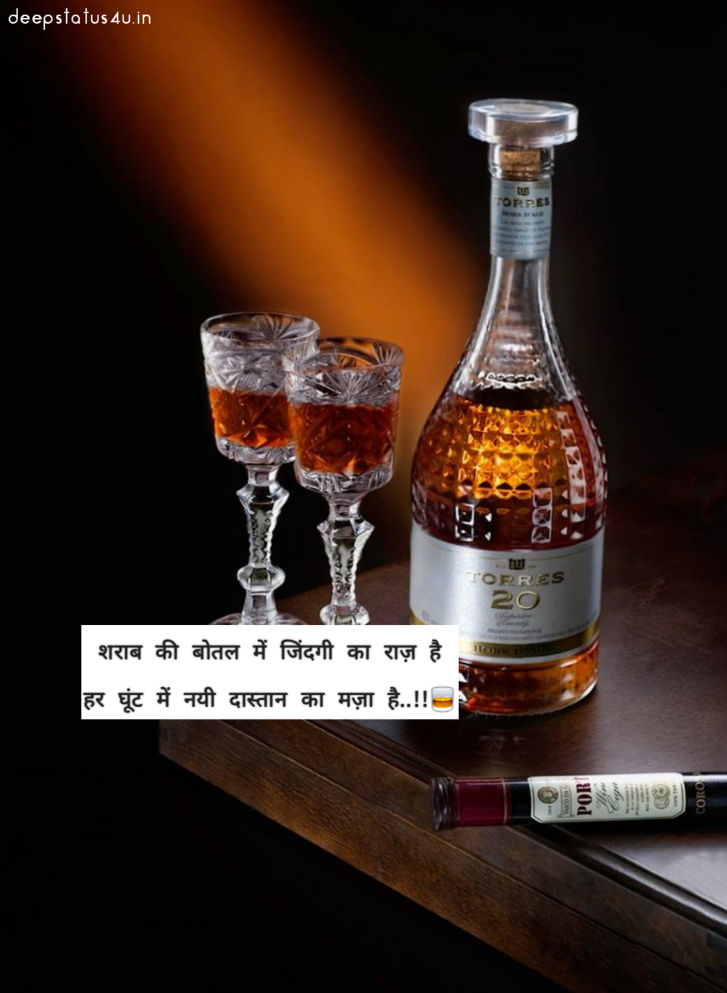 Wine quotes status in hindi 